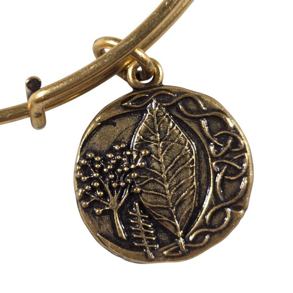 Alex & Ani Gold-Tone Charm Bangle Bracelet Charms Regeneration Eternity Faith - Picture 6 of 7